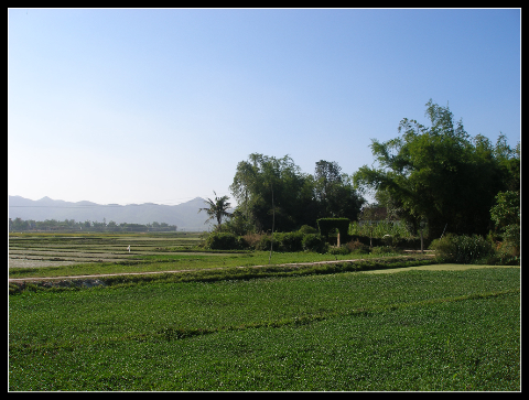 A Binh Dinh, la population est totalement impliquée dans la nouvelle ruralité - ảnh 2